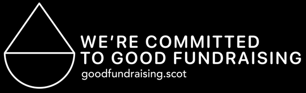 Visit Good Fundraising