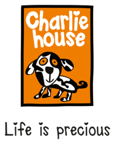 Big Build Charlie House